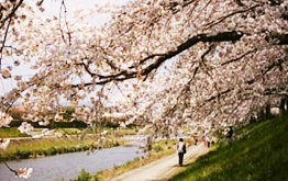 京の町並みと人―京ことば・京文化講座―