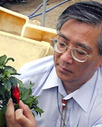 プランターでもできる菜園入門講座