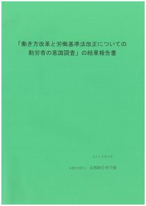 2017年度調査報告書表紙